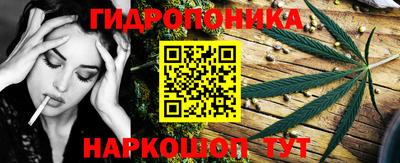 гашик Кулебаки