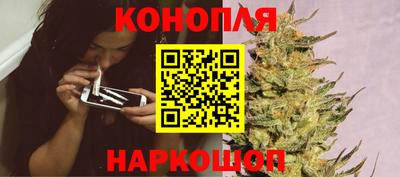 гашик Кулебаки
